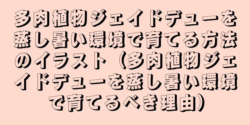 多肉植物ジェイドデューを蒸し暑い環境で育てる方法のイラスト（多肉植物ジェイドデューを蒸し暑い環境で育てるべき理由）