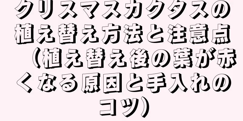 クリスマスカクタスの植え替え方法と注意点（植え替え後の葉が赤くなる原因と手入れのコツ）