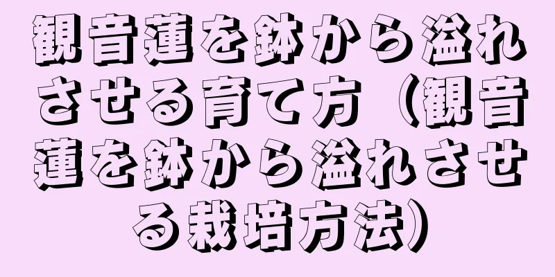 観音蓮を鉢から溢れさせる育て方（観音蓮を鉢から溢れさせる栽培方法）