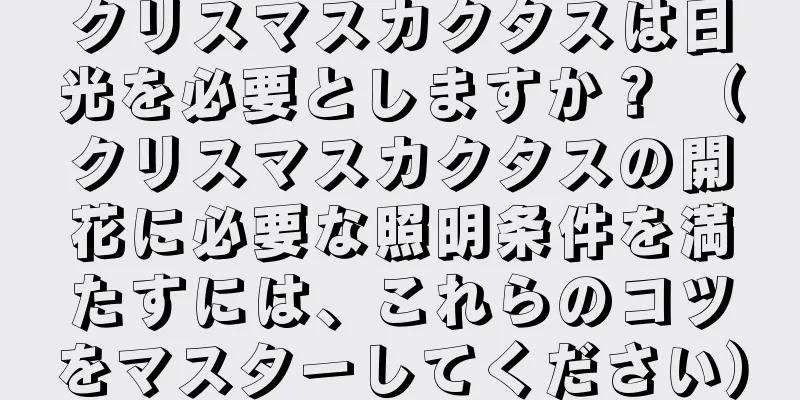 クリスマスカクタスは日光を必要としますか？ （クリスマスカクタスの開花に必要な照明条件を満たすには、これらのコツをマスターしてください）