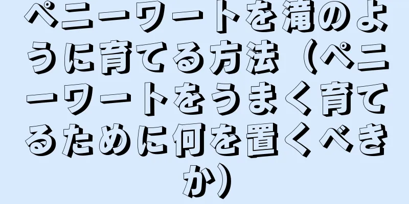 ペニーワートを滝のように育てる方法（ペニーワートをうまく育てるために何を置くべきか）