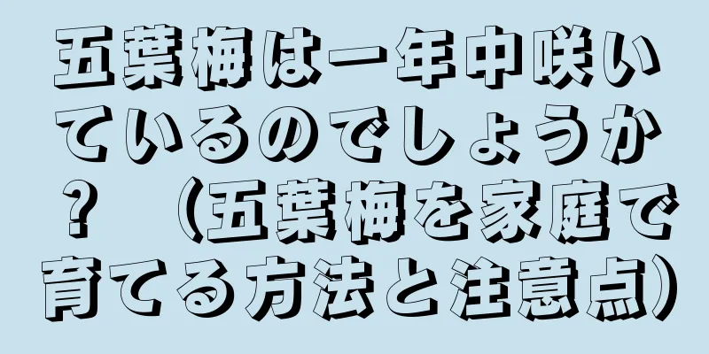 五葉梅は一年中咲いているのでしょうか？ （五葉梅を家庭で育てる方法と注意点）