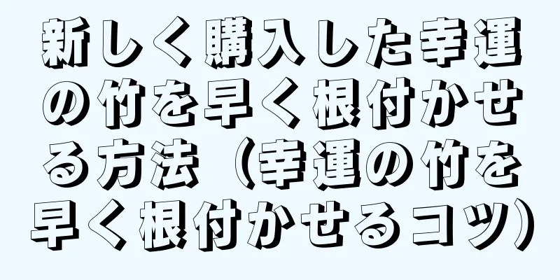 新しく購入した幸運の竹を早く根付かせる方法（幸運の竹を早く根付かせるコツ）