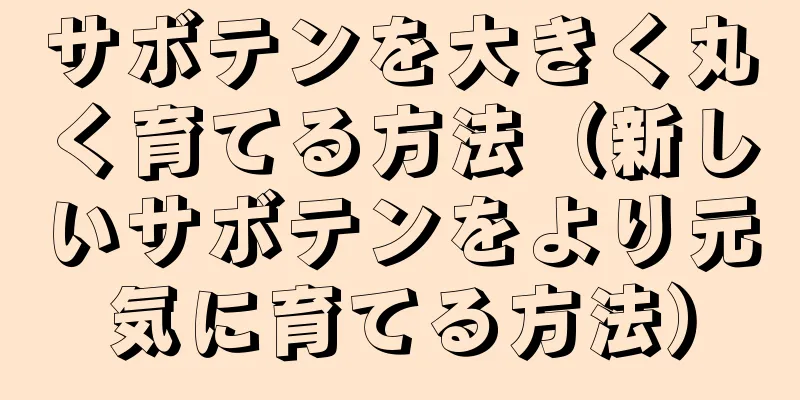 サボテンを大きく丸く育てる方法（新しいサボテンをより元気に育てる方法）