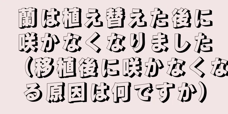 蘭は植え替えた後に咲かなくなりました（移植後に咲かなくなる原因は何ですか）