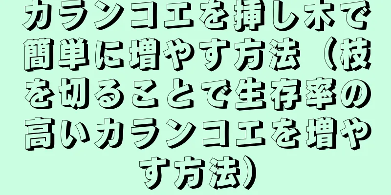 カランコエを挿し木で簡単に増やす方法（枝を切ることで生存率の高いカランコエを増やす方法）