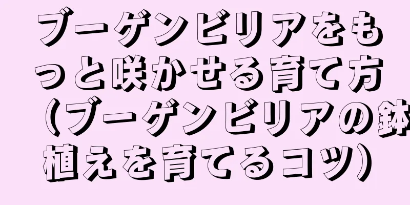 ブーゲンビリアをもっと咲かせる育て方（ブーゲンビリアの鉢植えを育てるコツ）