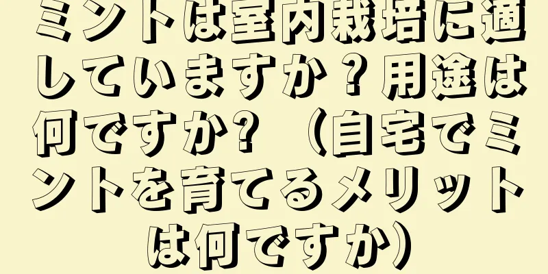 ミントは室内栽培に適していますか？用途は何ですか? （自宅でミントを育てるメリットは何ですか）