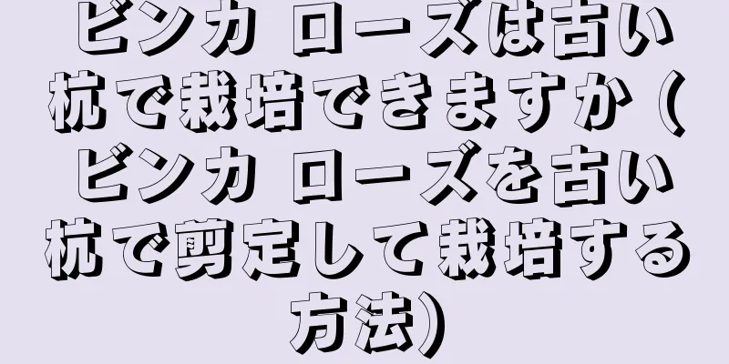 ビンカ ローズは古い杭で栽培できますか (ビンカ ローズを古い杭で剪定して栽培する方法)