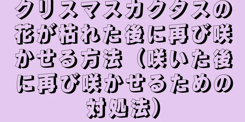 クリスマスカクタスの花が枯れた後に再び咲かせる方法（咲いた後に再び咲かせるための対処法）