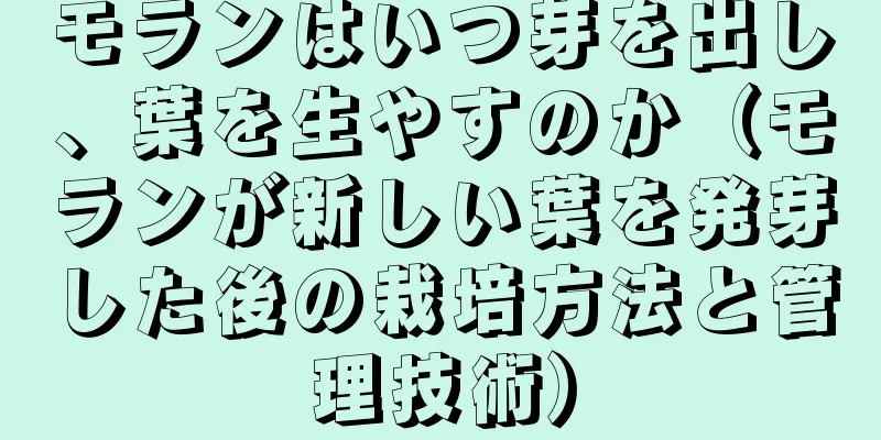 モランはいつ芽を出し、葉を生やすのか（モランが新しい葉を発芽した後の栽培方法と管理技術）