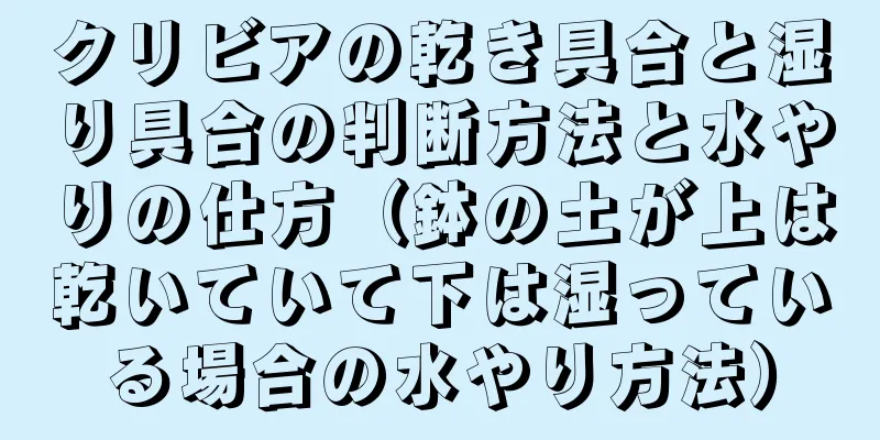 クリビアの乾き具合と湿り具合の判断方法と水やりの仕方（鉢の土が上は乾いていて下は湿っている場合の水やり方法）