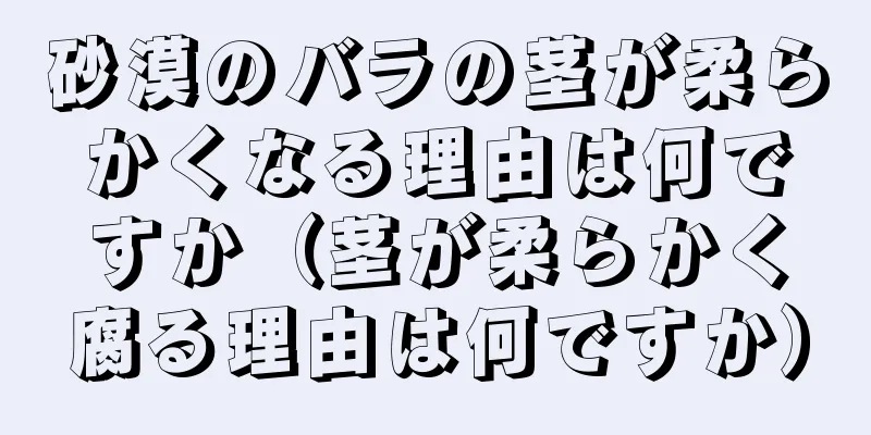 砂漠のバラの茎が柔らかくなる理由は何ですか（茎が柔らかく腐る理由は何ですか）