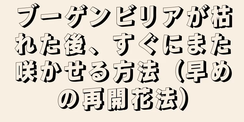 ブーゲンビリアが枯れた後、すぐにまた咲かせる方法（早めの再開花法）