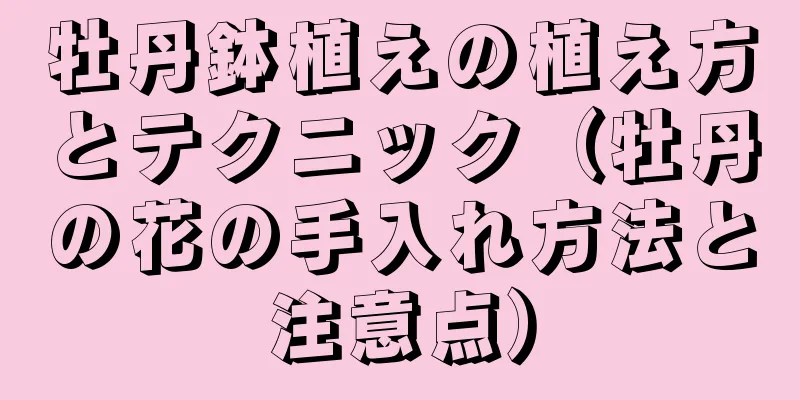 牡丹鉢植えの植え方とテクニック（牡丹の花の手入れ方法と注意点）