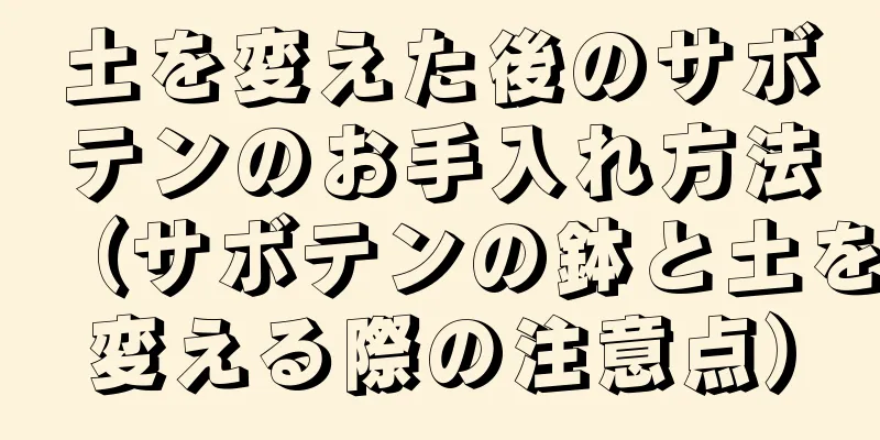土を変えた後のサボテンのお手入れ方法（サボテンの鉢と土を変える際の注意点）