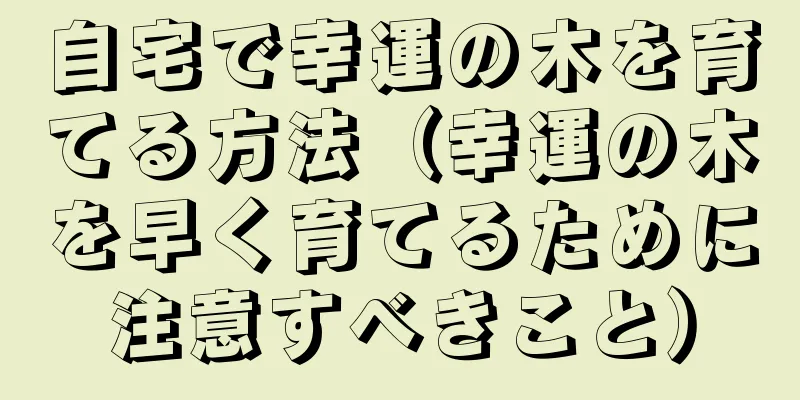 自宅で幸運の木を育てる方法（幸運の木を早く育てるために注意すべきこと）