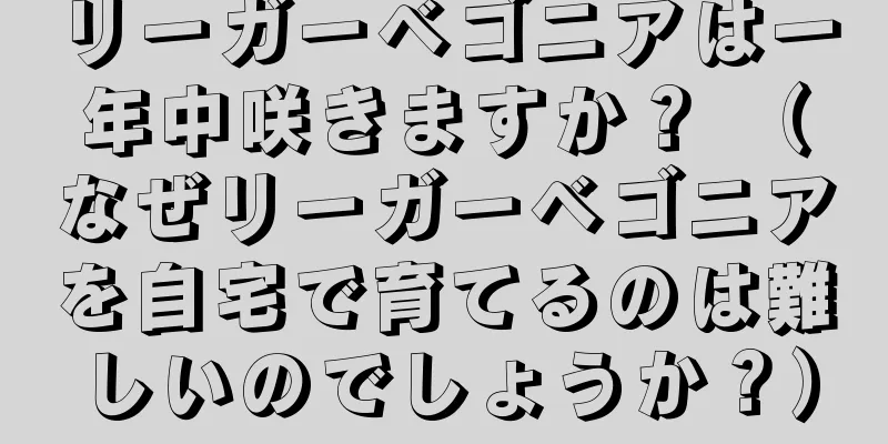 リーガーベゴニアは一年中咲きますか？ （なぜリーガーベゴニアを自宅で育てるのは難しいのでしょうか？）