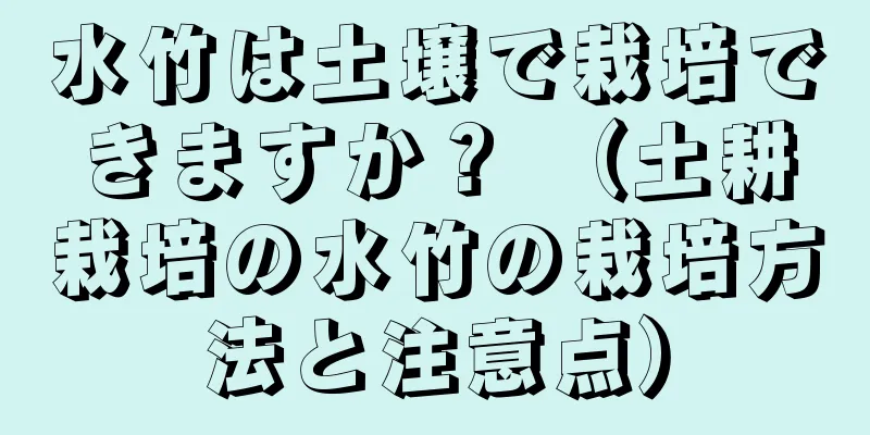 水竹は土壌で栽培できますか？ （土耕栽培の水竹の栽培方法と注意点）