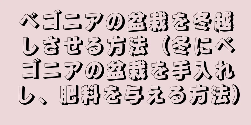 ベゴニアの盆栽を冬越しさせる方法（冬にベゴニアの盆栽を手入れし、肥料を与える方法）