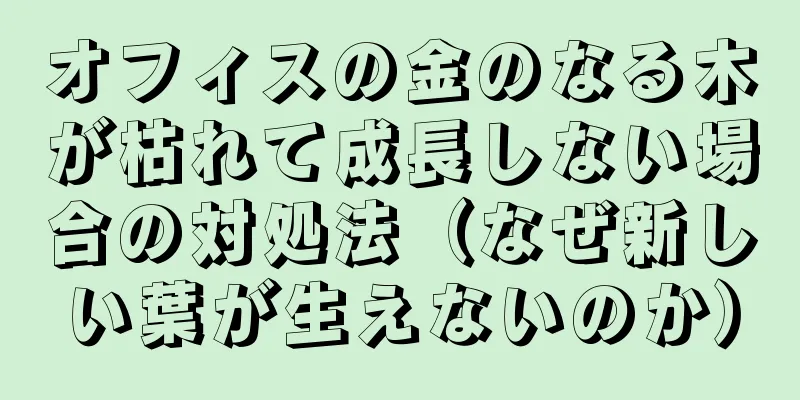 オフィスの金のなる木が枯れて成長しない場合の対処法（なぜ新しい葉が生えないのか）