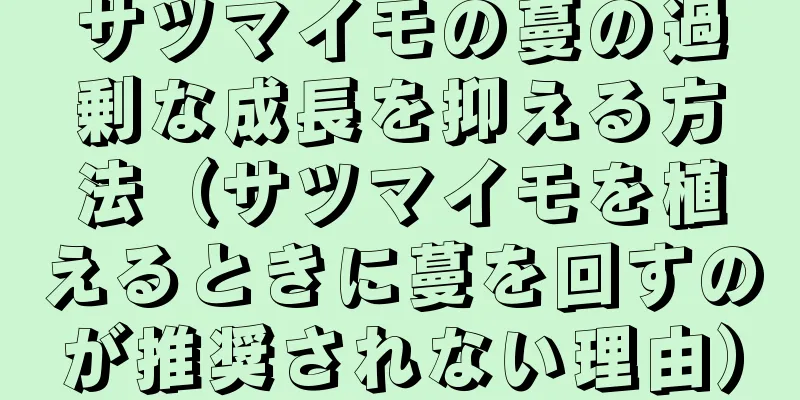 サツマイモの蔓の過剰な成長を抑える方法（サツマイモを植えるときに蔓を回すのが推奨されない理由）