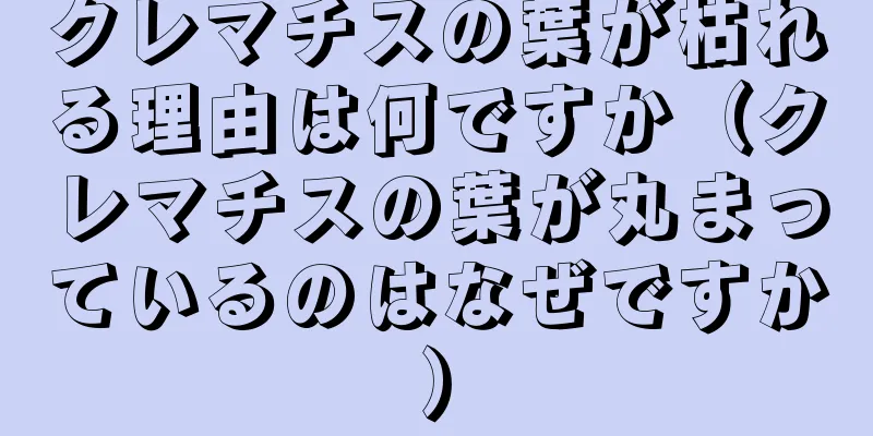 クレマチスの葉が枯れる理由は何ですか（クレマチスの葉が丸まっているのはなぜですか）