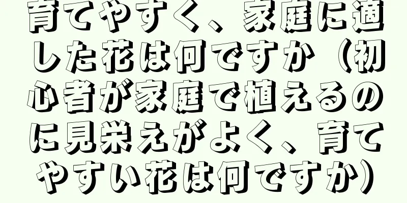 育てやすく、家庭に適した花は何ですか（初心者が家庭で植えるのに見栄えがよく、育てやすい花は何ですか）