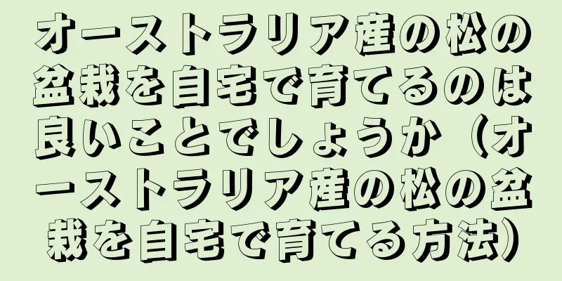 オーストラリア産の松の盆栽を自宅で育てるのは良いことでしょうか（オーストラリア産の松の盆栽を自宅で育てる方法）