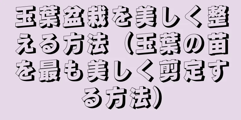 玉葉盆栽を美しく整える方法（玉葉の苗を最も美しく剪定する方法）