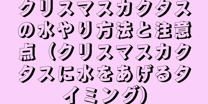 クリスマスカクタスの水やり方法と注意点（クリスマスカクタスに水をあげるタイミング）