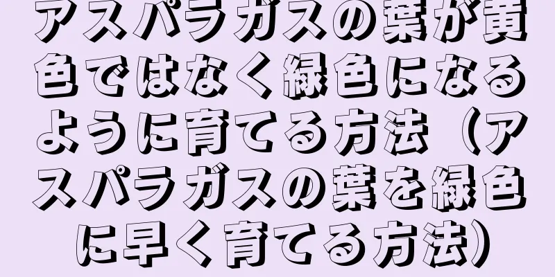アスパラガスの葉が黄色ではなく緑色になるように育てる方法（アスパラガスの葉を緑色に早く育てる方法）