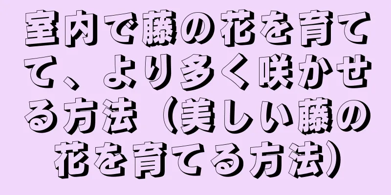 室内で藤の花を育てて、より多く咲かせる方法（美しい藤の花を育てる方法）