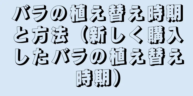 バラの植え替え時期と方法（新しく購入したバラの植え替え時期）