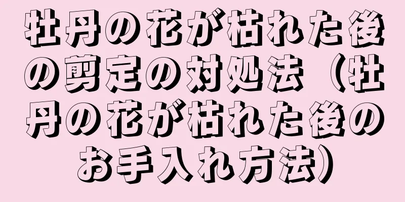 牡丹の花が枯れた後の剪定の対処法（牡丹の花が枯れた後のお手入れ方法）