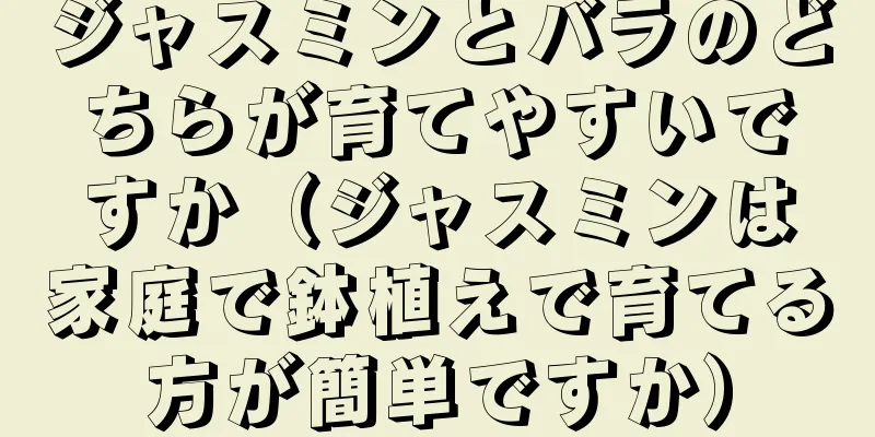 ジャスミンとバラのどちらが育てやすいですか（ジャスミンは家庭で鉢植えで育てる方が簡単ですか）