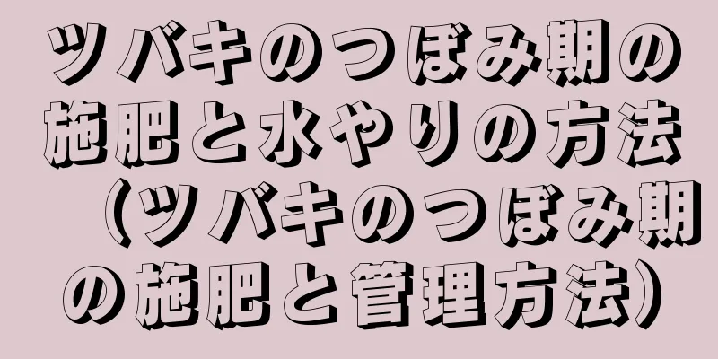ツバキのつぼみ期の施肥と水やりの方法（ツバキのつぼみ期の施肥と管理方法）