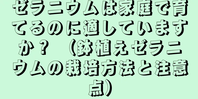 ゼラニウムは家庭で育てるのに適していますか？ （鉢植えゼラニウムの栽培方法と注意点）