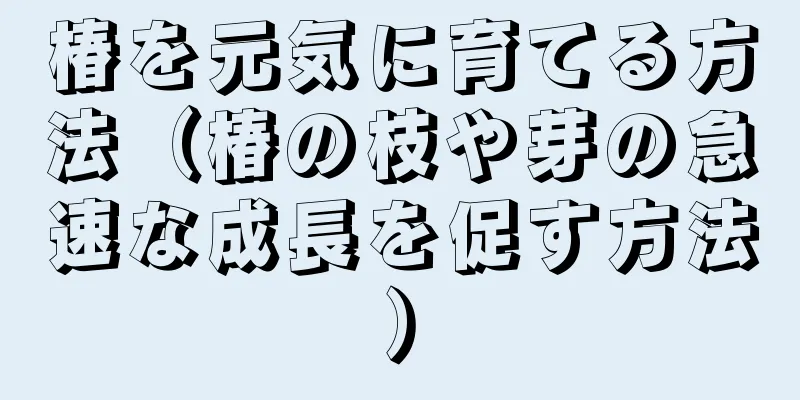 椿を元気に育てる方法（椿の枝や芽の急速な成長を促す方法）