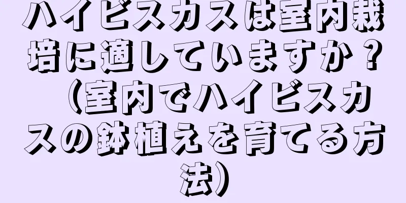 ハイビスカスは室内栽培に適していますか？ （室内でハイビスカスの鉢植えを育てる方法）