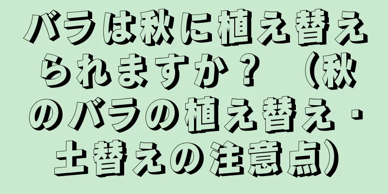 バラは秋に植え替えられますか？ （秋のバラの植え替え・土替えの注意点）