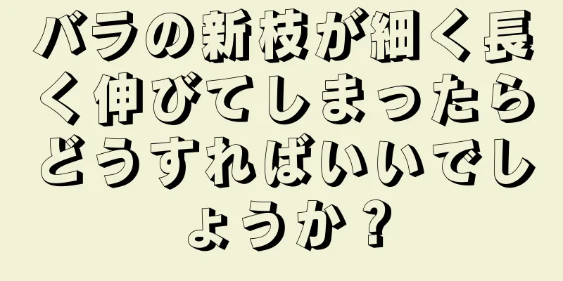 バラの新枝が細く長く伸びてしまったらどうすればいいでしょうか？