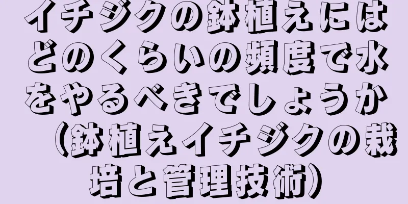 イチジクの鉢植えにはどのくらいの頻度で水をやるべきでしょうか（鉢植えイチジクの栽培と管理技術）