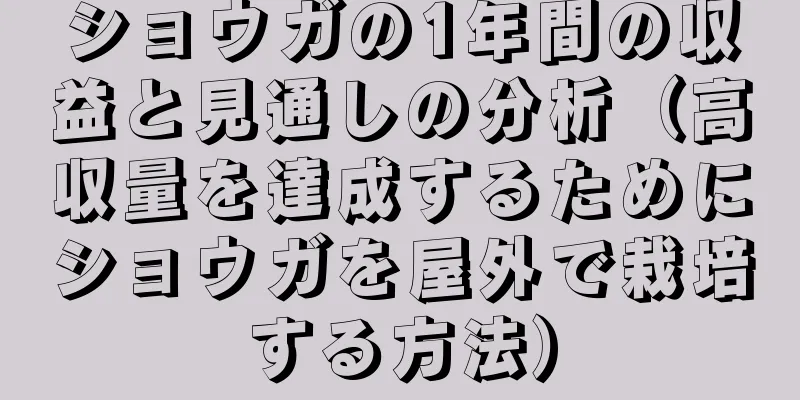 ショウガの1年間の収益と見通しの分析（高収量を達成するためにショウガを屋外で栽培する方法）
