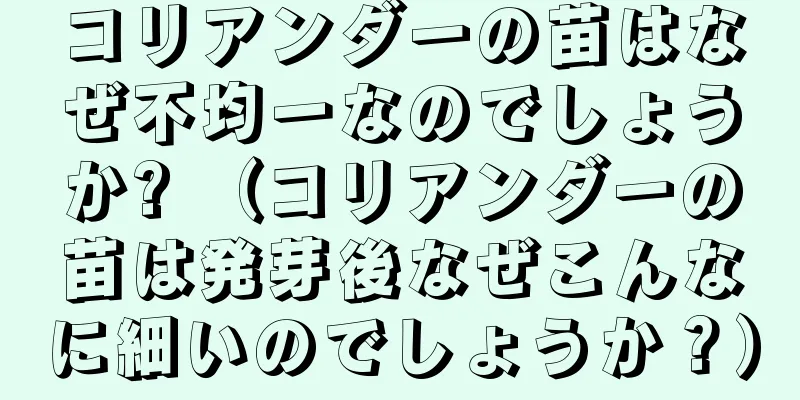 コリアンダーの苗はなぜ不均一なのでしょうか? （コリアンダーの苗は発芽後なぜこんなに細いのでしょうか？）