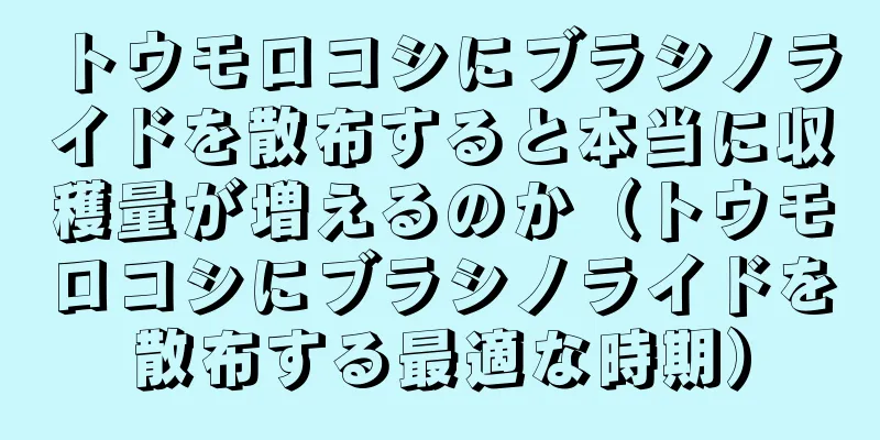 トウモロコシにブラシノライドを散布すると本当に収穫量が増えるのか（トウモロコシにブラシノライドを散布する最適な時期）