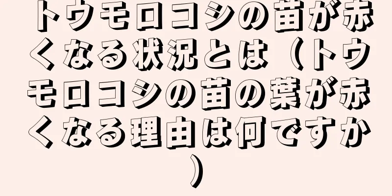 トウモロコシの苗が赤くなる状況とは（トウモロコシの苗の葉が赤くなる理由は何ですか）