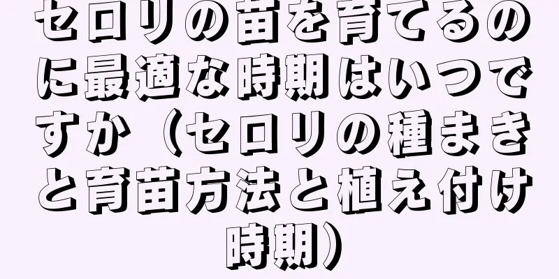 セロリの苗を育てるのに最適な時期はいつですか（セロリの種まきと育苗方法と植え付け時期）