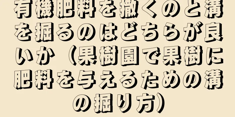 有機肥料を撒くのと溝を掘るのはどちらが良いか（果樹園で果樹に肥料を与えるための溝の掘り方）