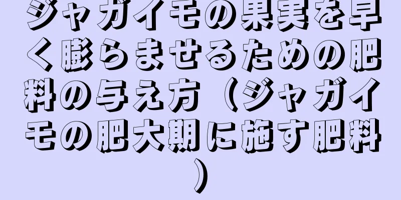 ジャガイモの果実を早く膨らませるための肥料の与え方（ジャガイモの肥大期に施す肥料）
